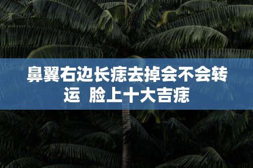 鼻翼右边长痣去掉会不会转运 脸上十大吉痣