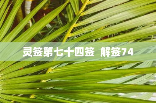 灵签第七十四签 解签74