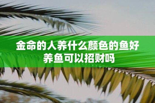 金命的人养什么颜色的鱼好 养鱼可以招财吗