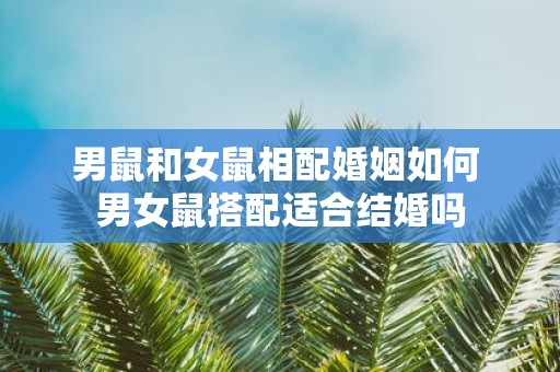 男鼠和女鼠相配婚姻如何 男女鼠搭配适合结婚吗