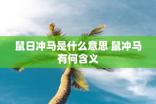 鼠日冲马是什么意思 鼠冲马有何含义