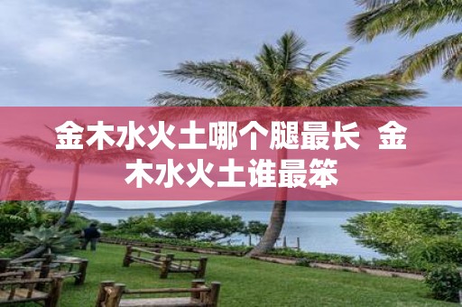 金木水火土哪个腿最长 金木水火土谁最笨
