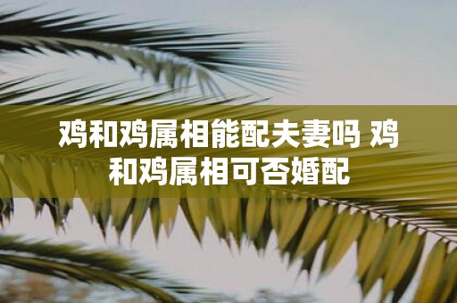鸡和鸡属相能配夫妻吗 鸡和鸡属相可否婚配