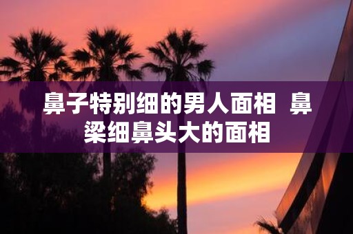 鼻子特别细的男人面相 鼻梁细鼻头大的面相