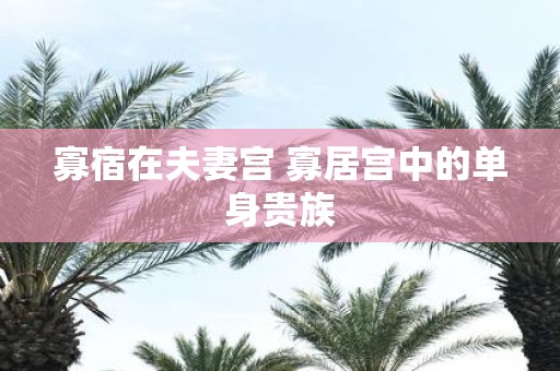寡宿在夫妻宫 寡居宫中的单身贵族