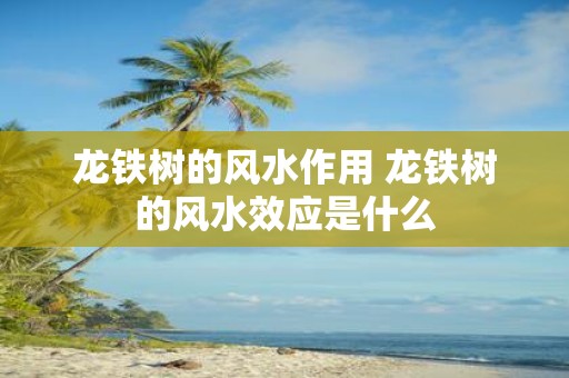 龙铁树的风水作用 龙铁树的风水效应是什么