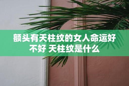 额头有天柱纹的女人命运好不好 天柱纹是什么