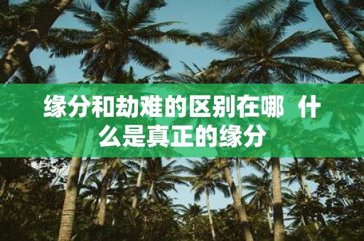 缘分和劫难的区别在哪 什么是真正的缘分