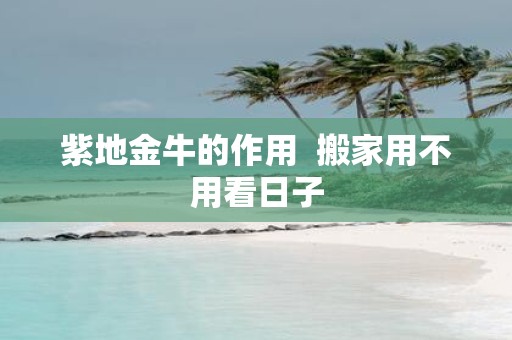 紫地金牛的作用 搬家用不用看日子