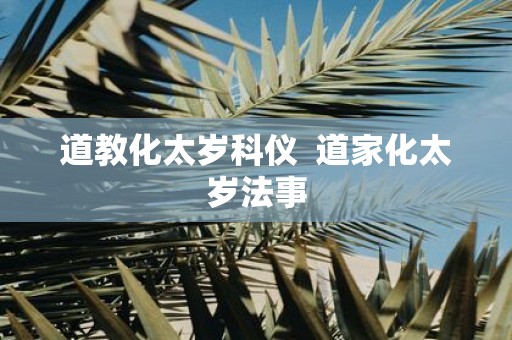道教化太岁科仪 道家化太岁法事