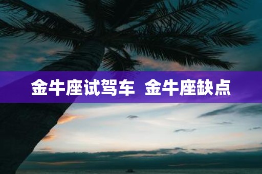金牛座试驾车 金牛座缺点