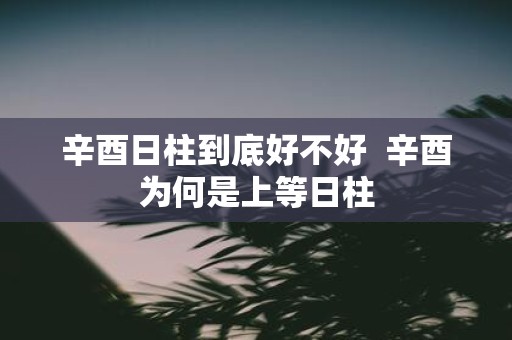 辛酉日柱到底好不好 辛酉为何是上等日柱
