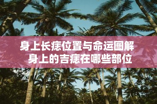 身上长痣位置与命运图解 身上的吉痣在哪些部位