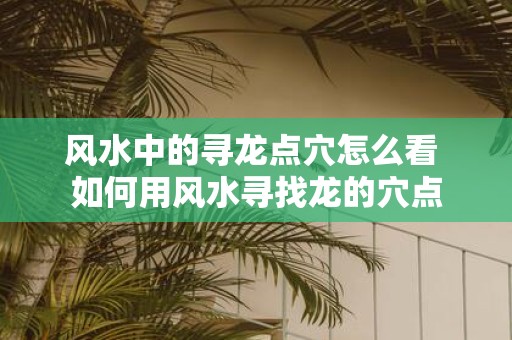 风水中的寻龙点穴怎么看 如何用风水寻找龙的穴点
