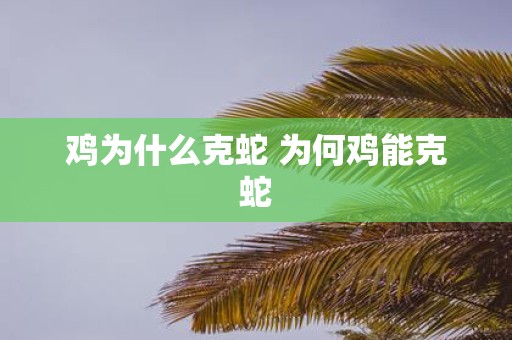 鸡为什么克蛇 为何鸡能克蛇