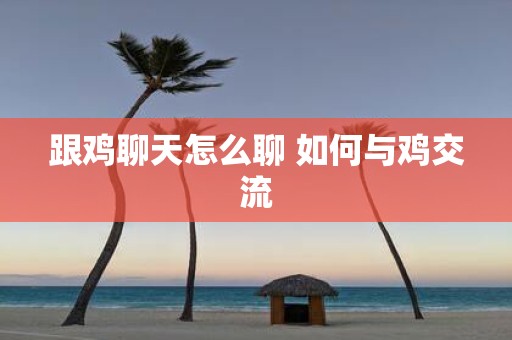 跟鸡聊天怎么聊 如何与鸡交流