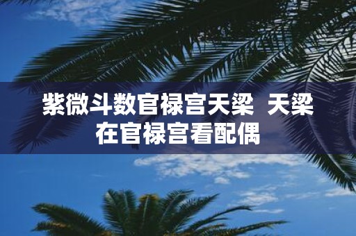 紫微斗数官禄宫天梁 天梁在官禄宫看配偶