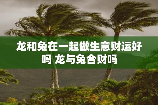 龙和兔在一起做生意财运好吗 龙与兔合财吗