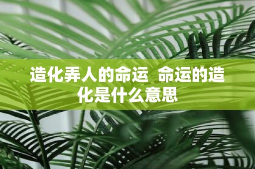 造化弄人的命运 命运的造化是什么意思