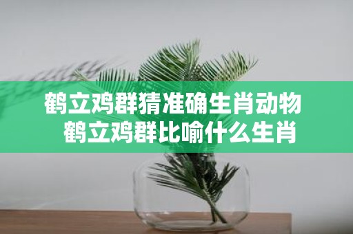 鹤立鸡群猜准确生肖动物 鹤立鸡群比喻什么生肖