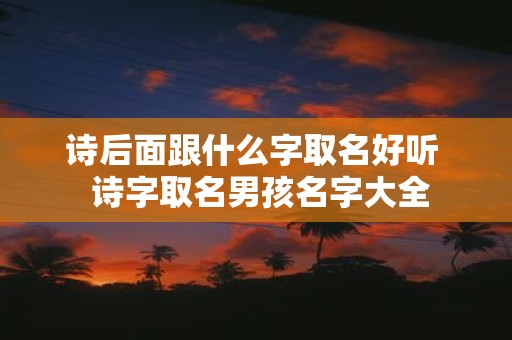 诗后面跟什么字取名好听 诗字取名男孩名字大全