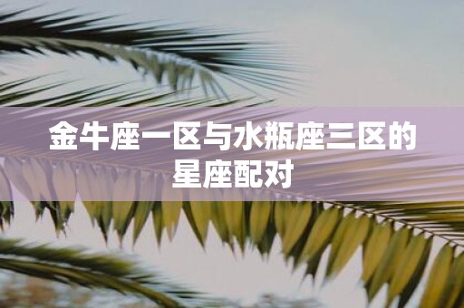 金牛座一区与水瓶座三区的星座配对