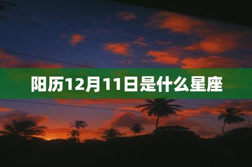 阳历12月11日是什么星座