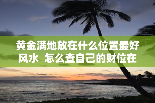 黄金满地放在什么位置最好风水 怎么查自己的财位在哪个方向