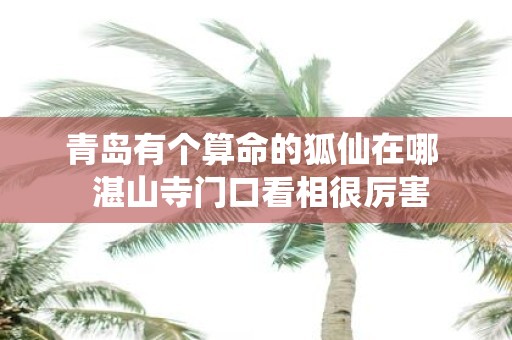 青岛有个算命的狐仙在哪 湛山寺门口看相很厉害
