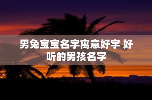 男兔宝宝名字寓意好字 好听的男孩名字