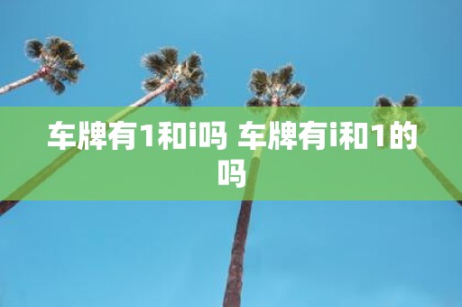 车牌有1和i吗 车牌有i和1的吗