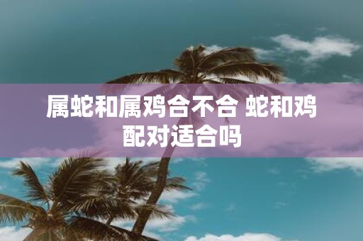 属蛇和属鸡合不合 蛇和鸡配对适合吗