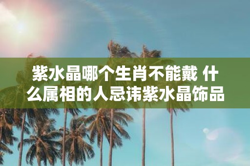 紫水晶哪个生肖不能戴 什么属相的人忌讳紫水晶饰品
