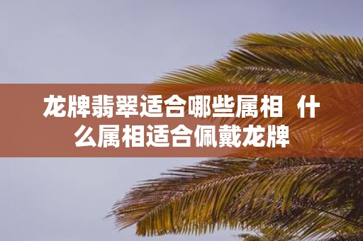 龙牌翡翠适合哪些属相 什么属相适合佩戴龙牌