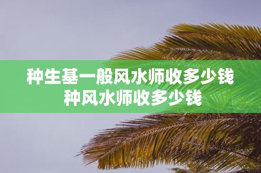 种生基一般风水师收多少钱 种风水师收多少钱