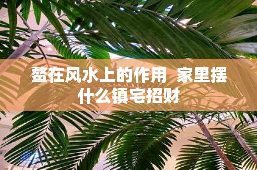 鳌在风水上的作用 家里摆什么镇宅招财