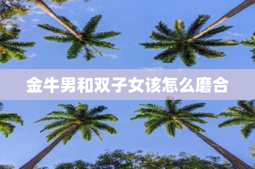 金牛男和双子女该怎么磨合