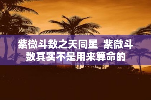 紫微斗数之天同星 紫微斗数其实不是用来算命的