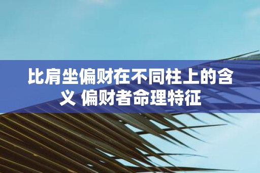 比肩坐偏财在不同柱上的含义 偏财者命理特征