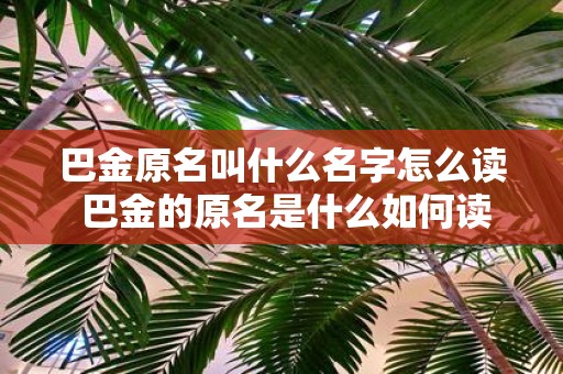 巴金原名叫什么名字怎么读 巴金的原名是什么如何读