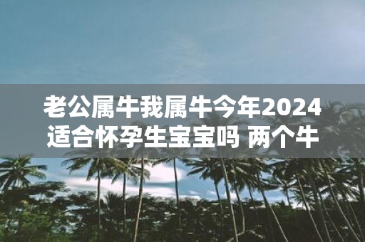 老公属牛我属牛今年2025适合怀孕生宝宝吗 两个牛在一起如何