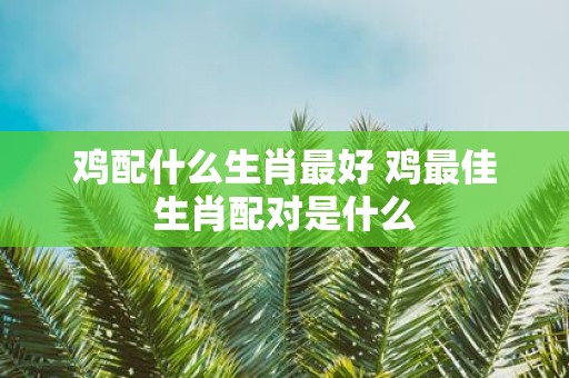 鸡配什么生肖最好 鸡最佳生肖配对是什么