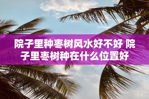 院子里种枣树风水好不好 院子里枣树种在什么位置好