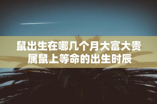 鼠出生在哪几个月大富大贵 属鼠上等命的出生时辰
