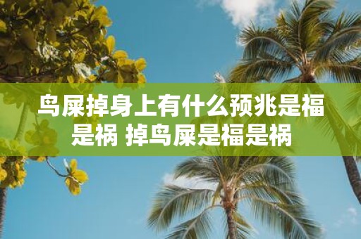 鸟屎掉身上有什么预兆是福是祸 掉鸟屎是福是祸