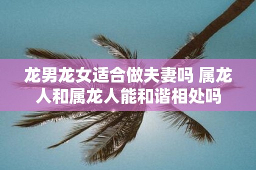 龙男龙女适合做夫妻吗 属龙人和属龙人能和谐相处吗 龙男龙女适合做夫妻吗 属龙人和属龙人能和谐相处吗