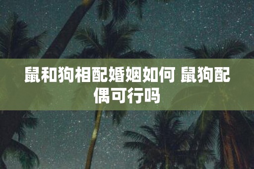 鼠和狗相配婚姻如何 鼠狗配偶可行吗