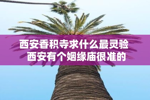 西安香积寺求什么最灵验 西安有个姻缘庙很准的