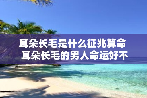耳朵长毛是什么征兆算命 耳朵长毛的男人命运好不好
