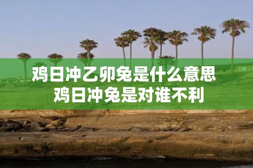 鸡日冲乙卯兔是什么意思 鸡日冲兔是对谁不利